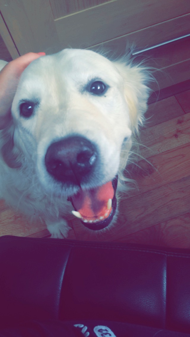 reunited!!!!