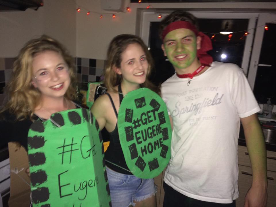 turtle 6