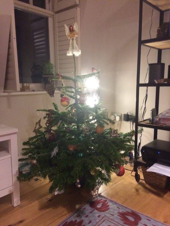 tree1