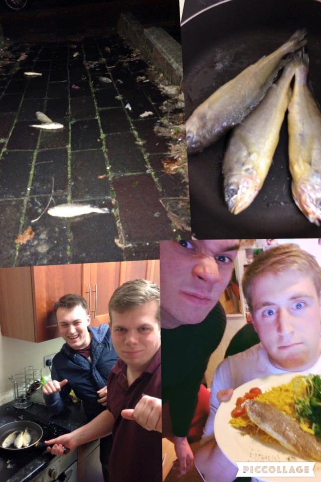 the picture that was found on the Fab and Fresh group
