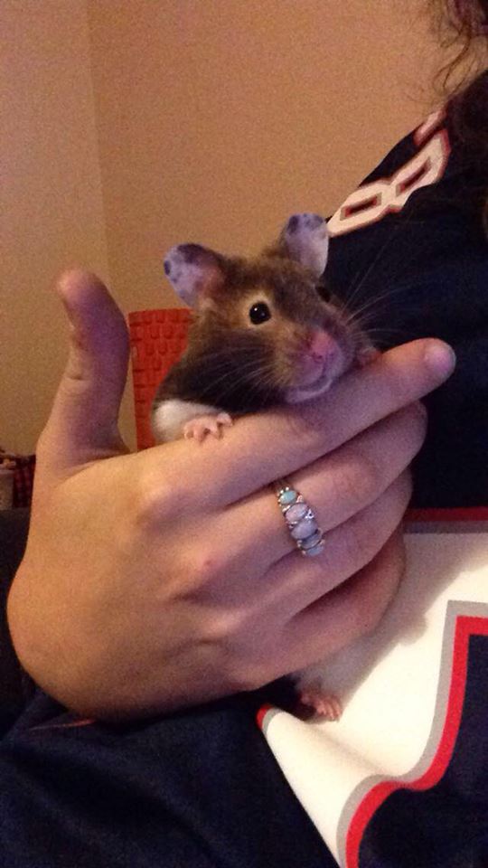 LADY MARGEARY