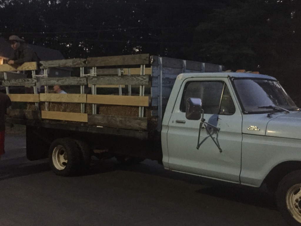 cattle rides