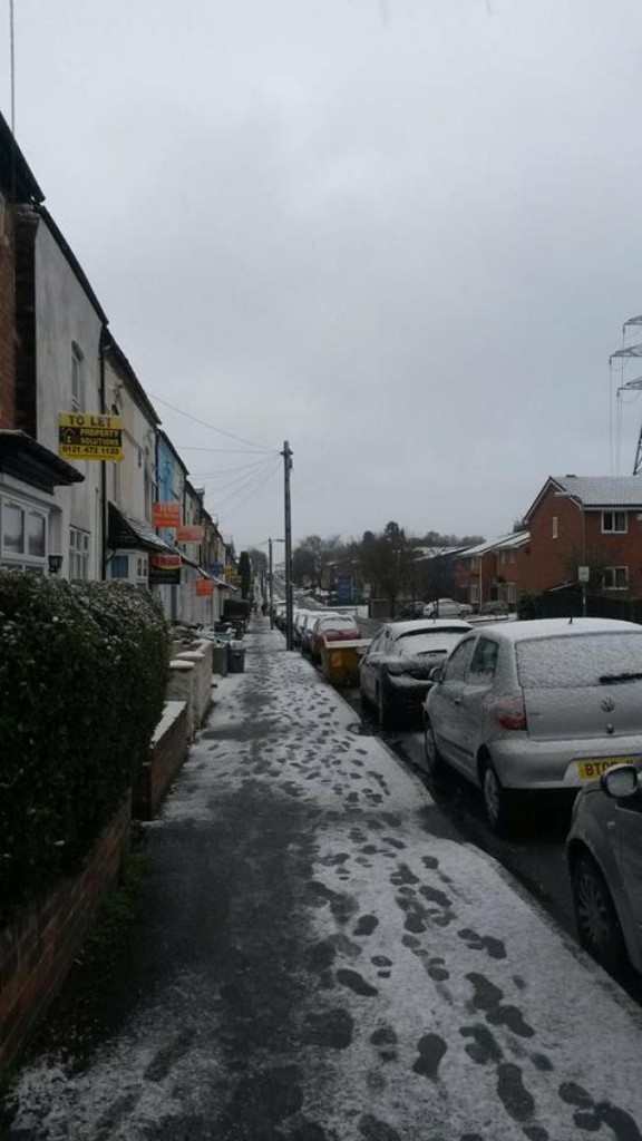 snow in selly