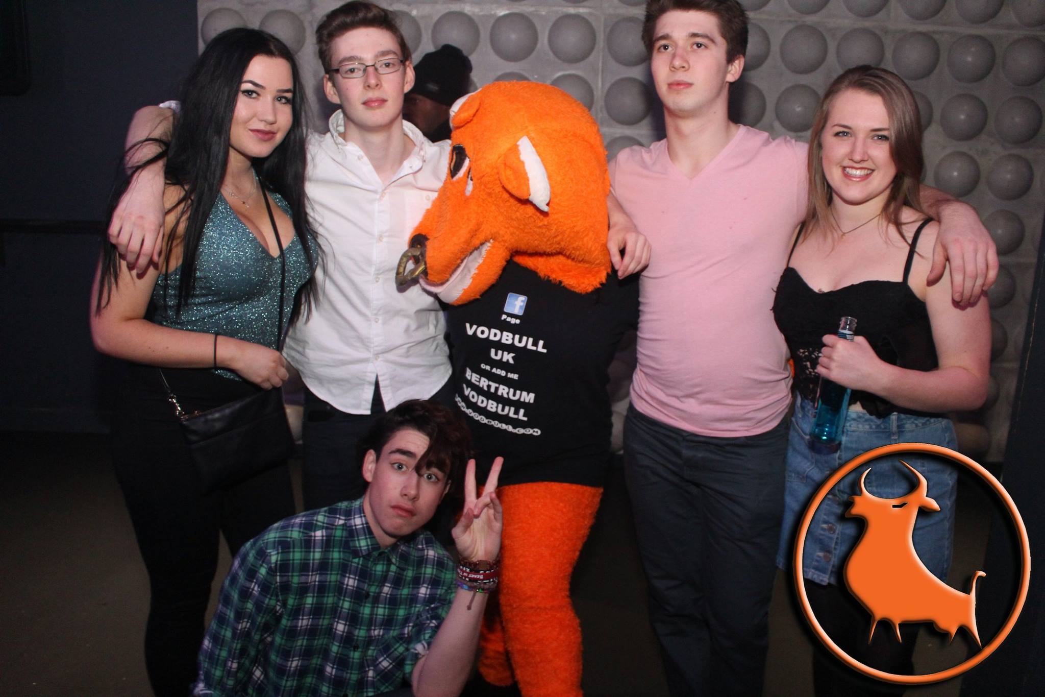 vodbull 1