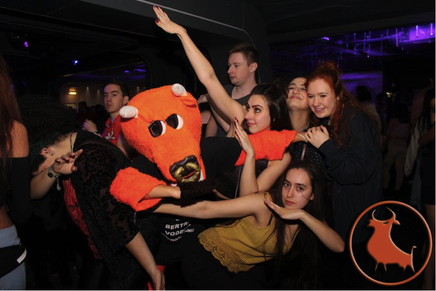 Best group dab