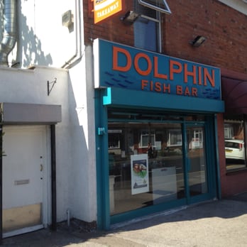 dolphin