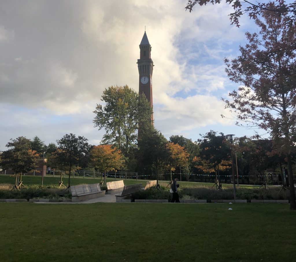 Old Joe and The Green Heart