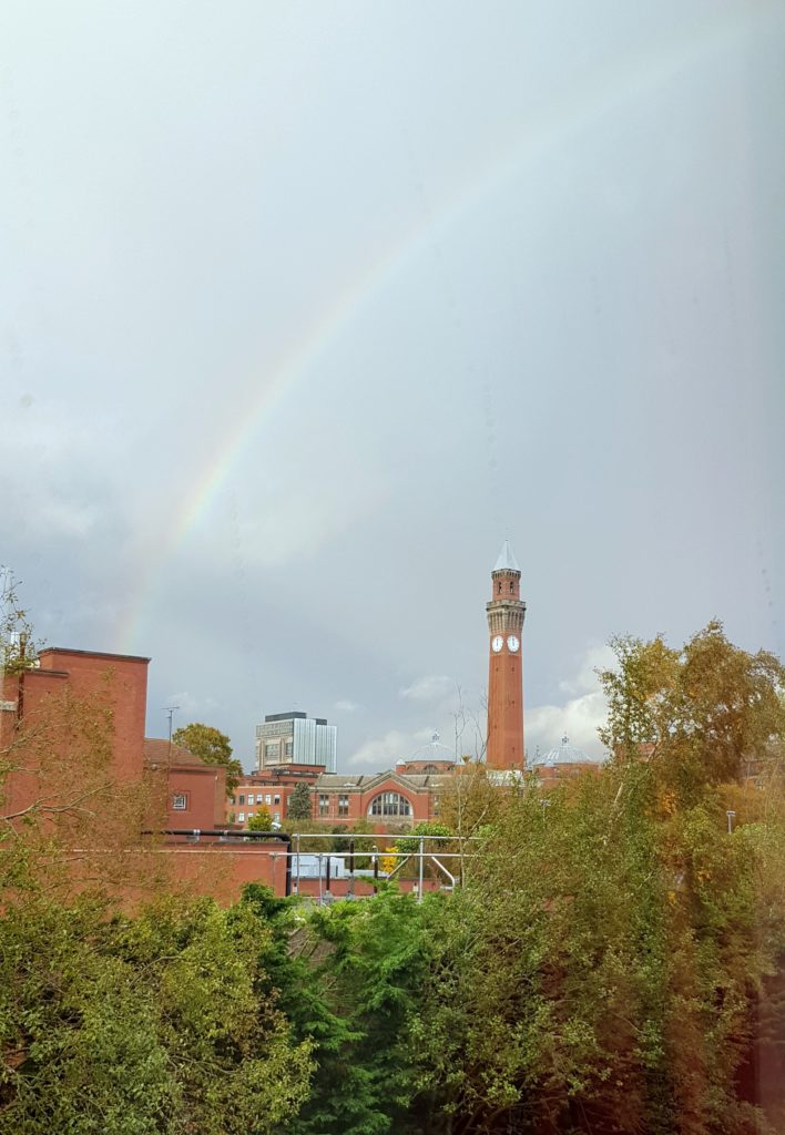 rainbow joe