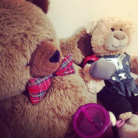 Why are there teddy bears in every room of our house?