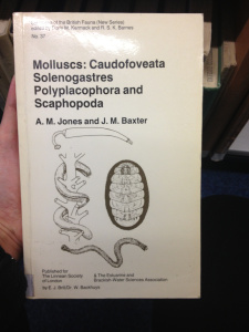 molluscs