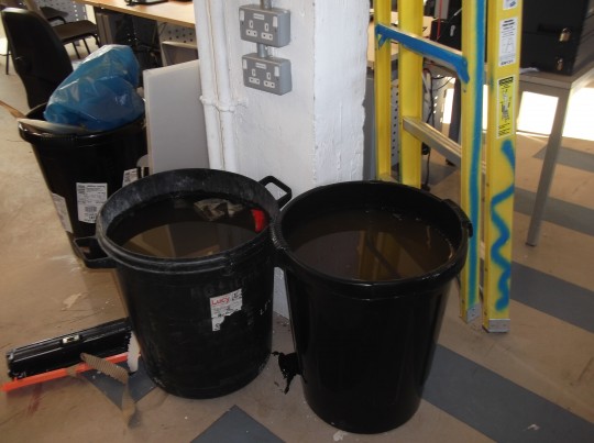 Bins filled with dirty water