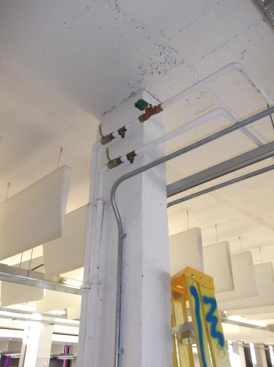 Thought to be the offending pipe