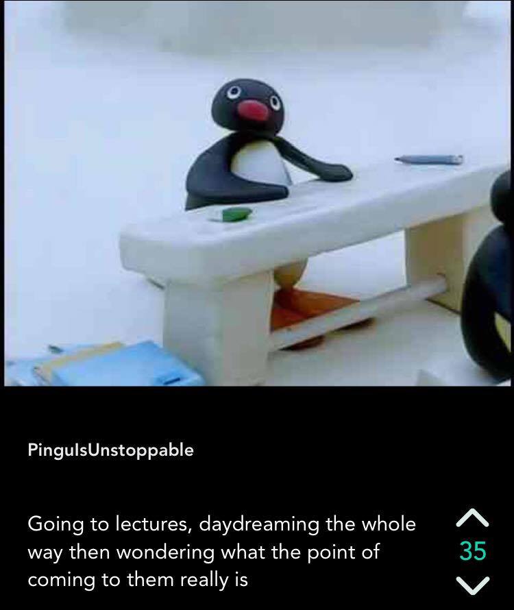 pingu yik yak
