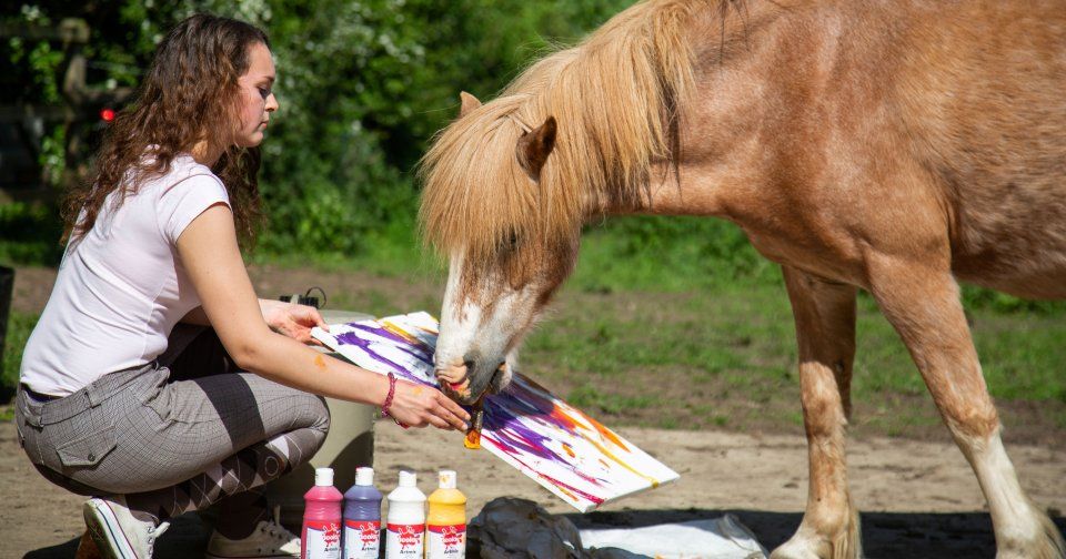 Image may contain: Female, Colt Horse, Mammal, Horse, Animal, Person, Human
