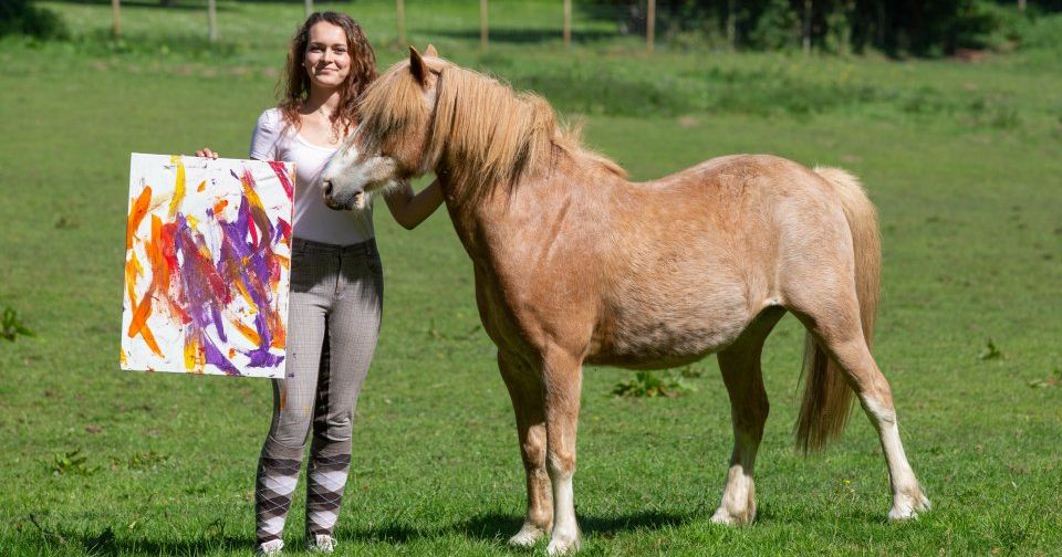 Image may contain: Plant, Grass, Colt Horse, Human, Person, Horse, Mammal, Animal