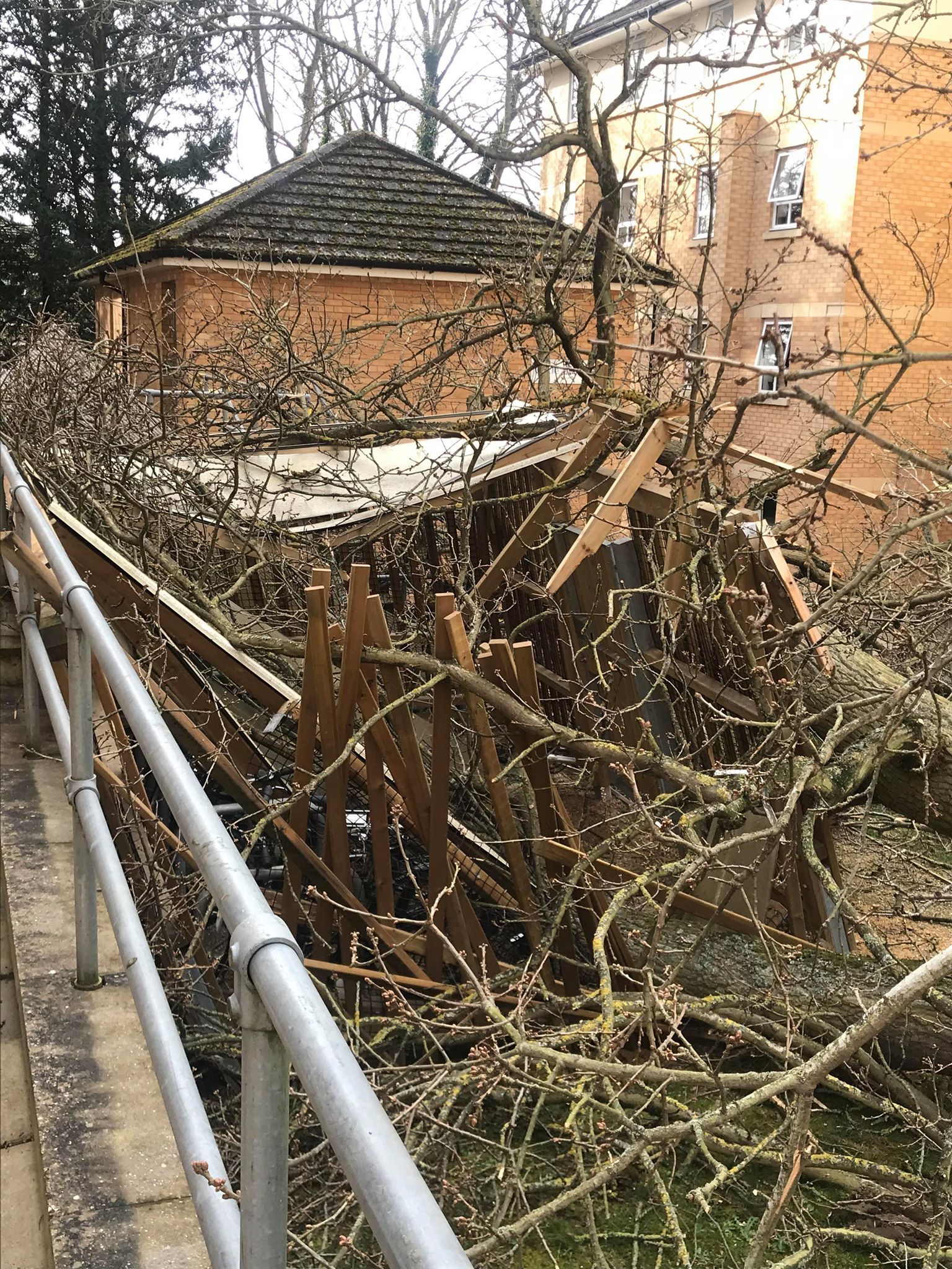 Image may contain: Earthquake, Railing, Nature, Handrail, Banister