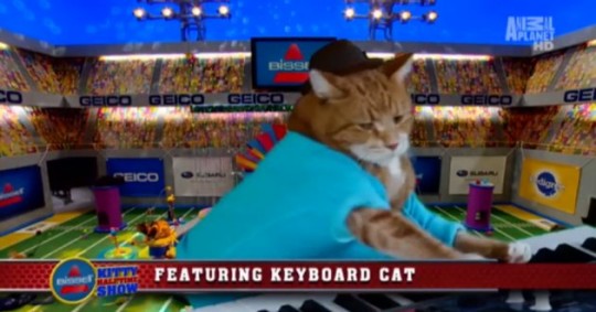 Last year's halftime show featuring Keyboard Cat