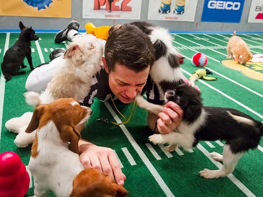 puppy-bowl-2-600