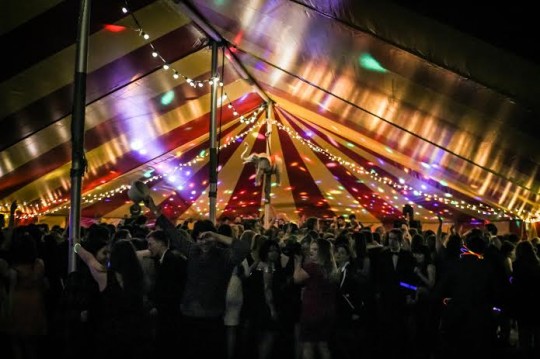 big top 7