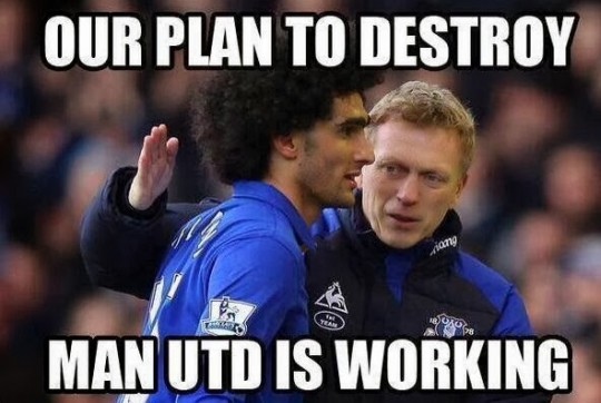 moyes 6