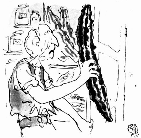 The BFG and his beloved snozzcumber
