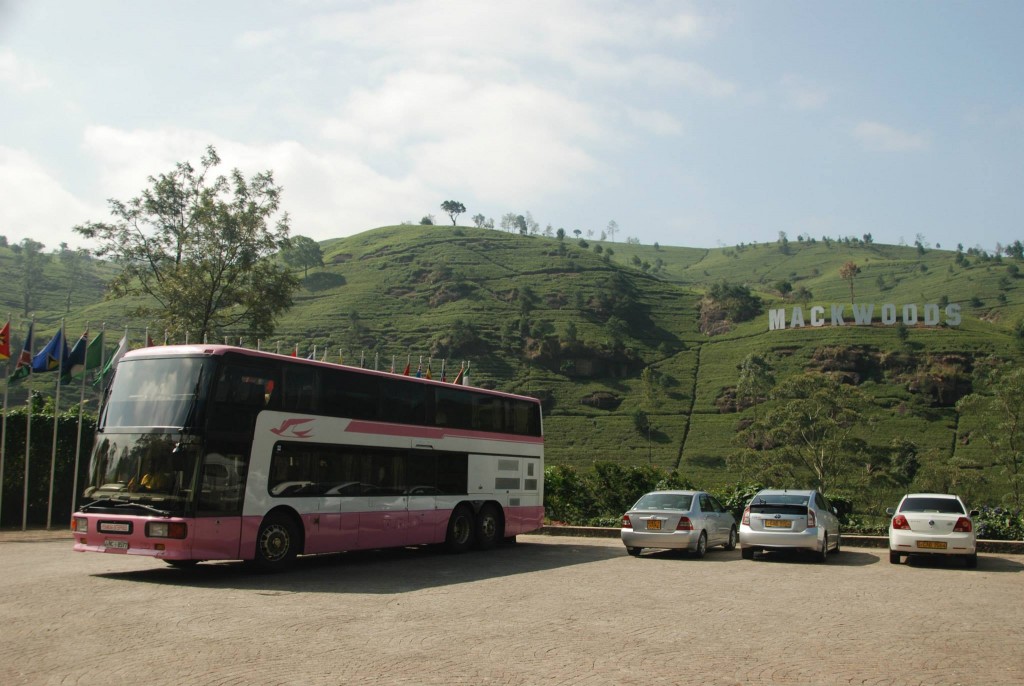 The infamous pink bus..