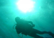 Dive