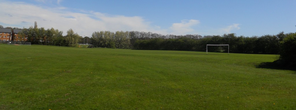 Pitch