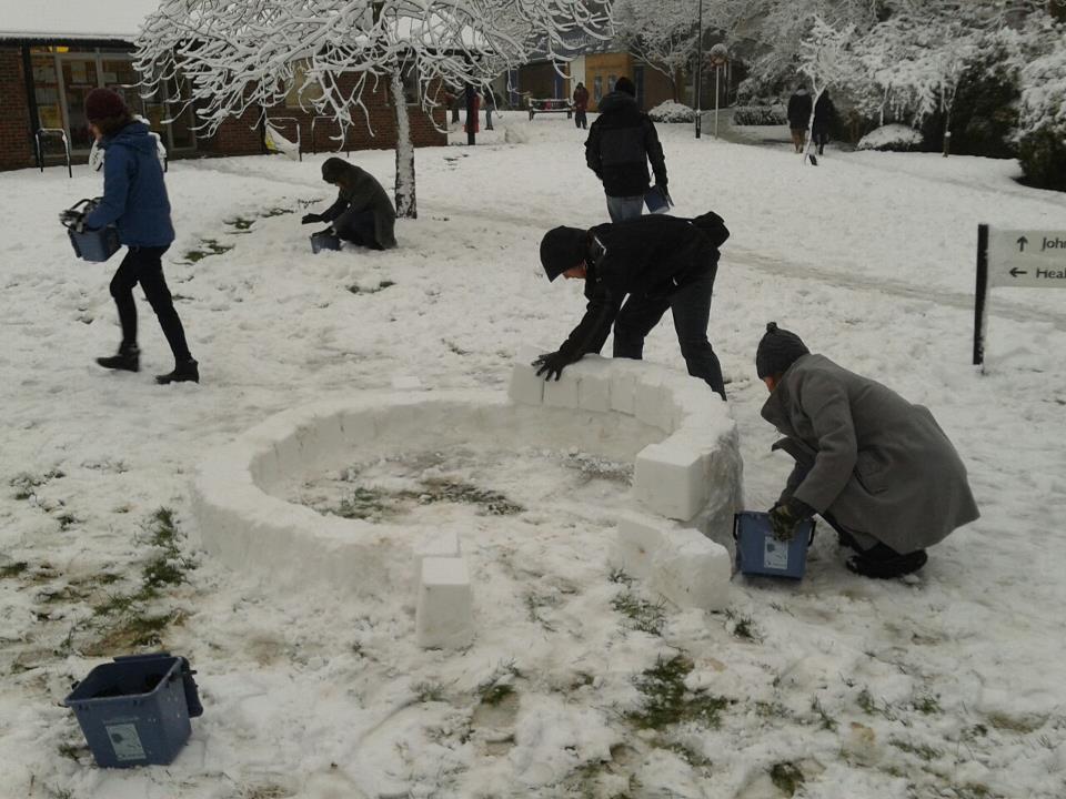 igloo igloo