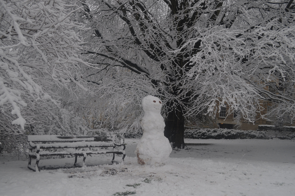 snowmna