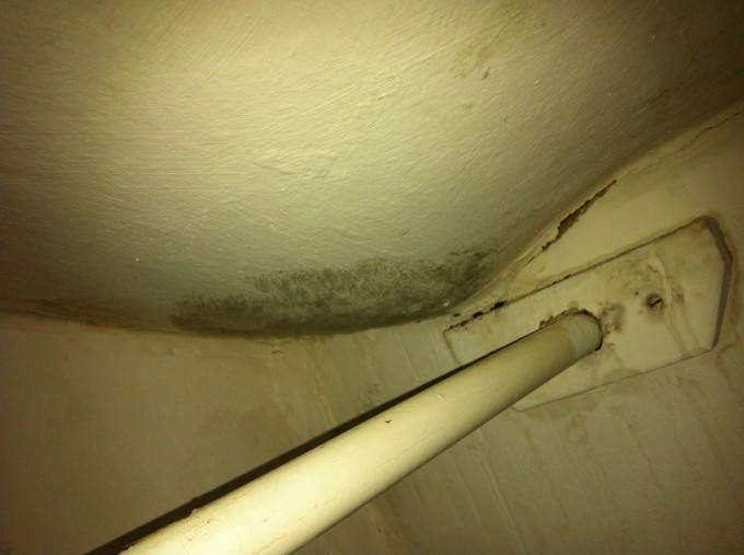 Britain's most expensive mould