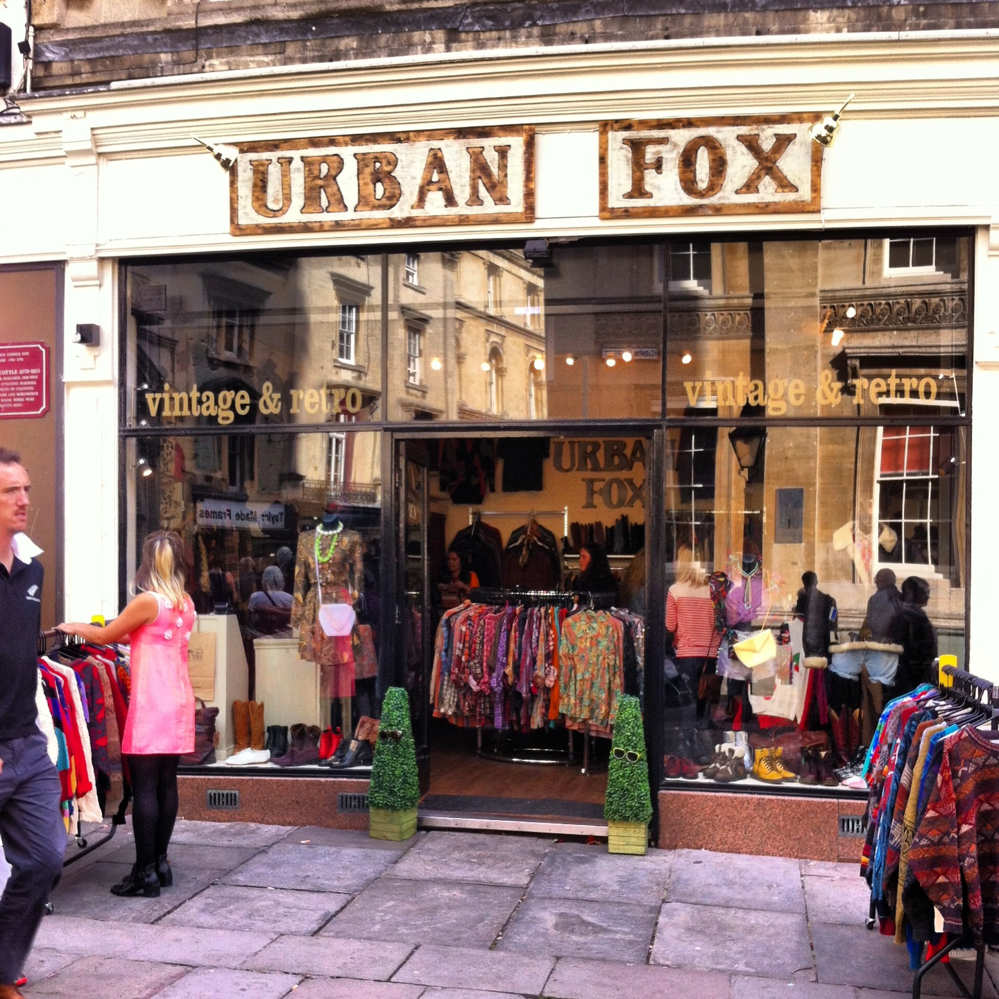 Urban Fox 