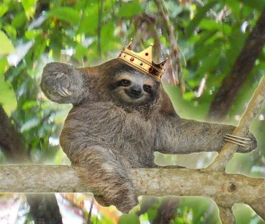 Check out that crown #holla 