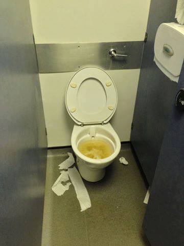 Your average ASS Library toilet