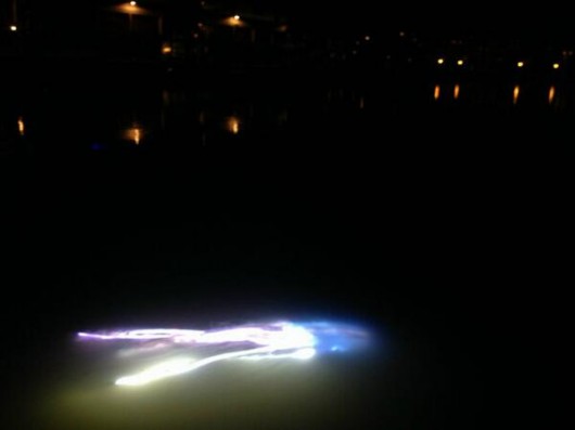 Hmm, admittedly it does look QUITE a lot like a jellyfish. Photo: @ManbersPred