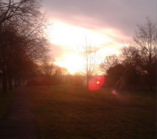 Sunset on the Downs Photo: @mattpgodfrey