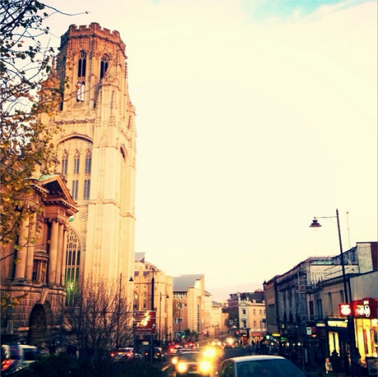 Wills looking majestic as ever Picture: @rachaelbeckingham