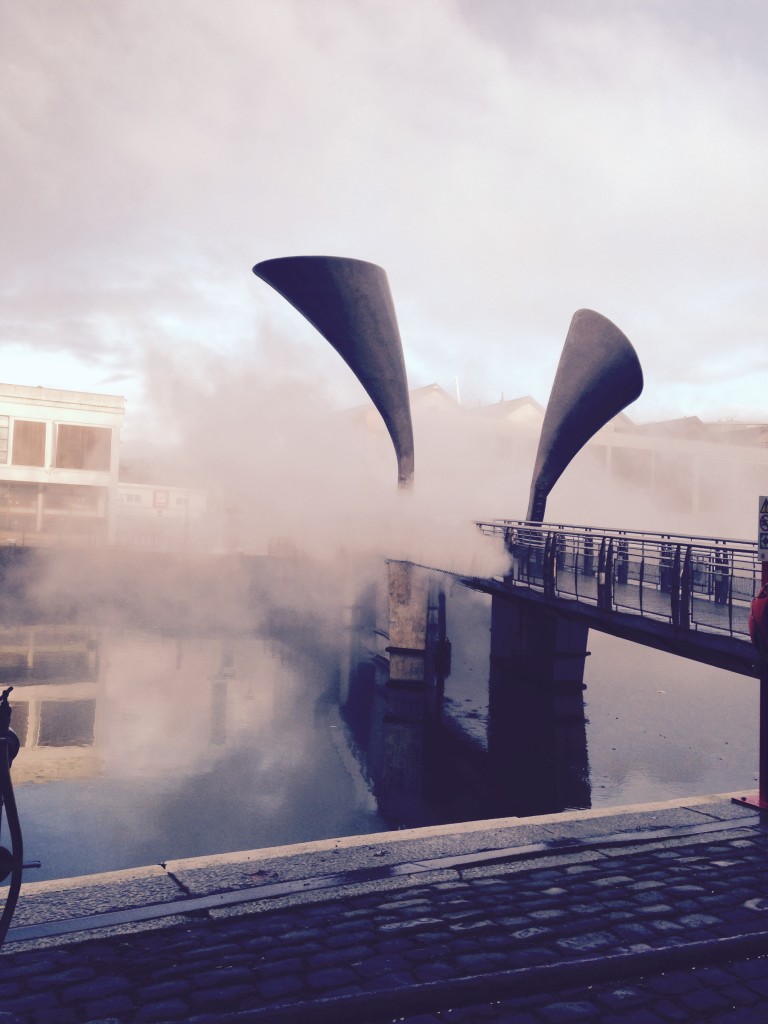 FOG-1
