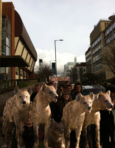 hyenas