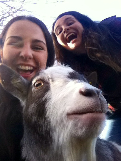 It only goat 18 likes