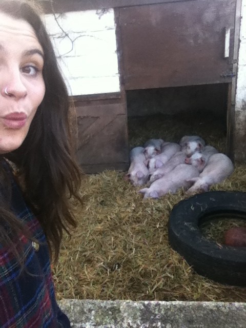 There were pigs as well. Just saying.