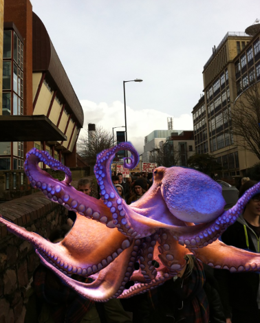 octo