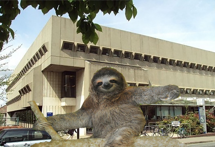 sloth