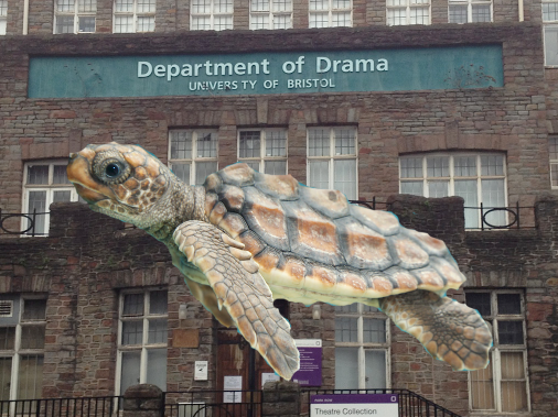 turtles