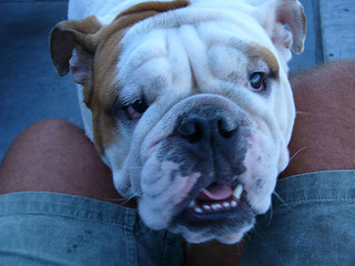 I missed out, but at least I have Zeus to keep me company