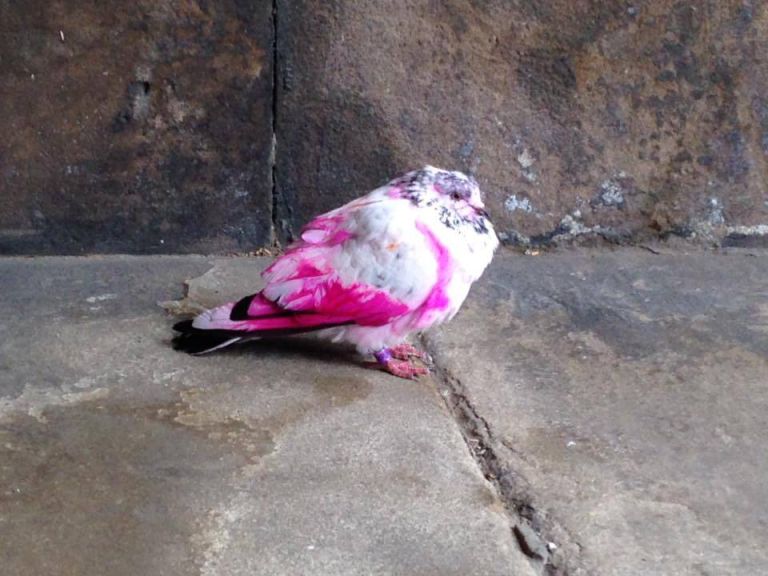 Photo: MEN