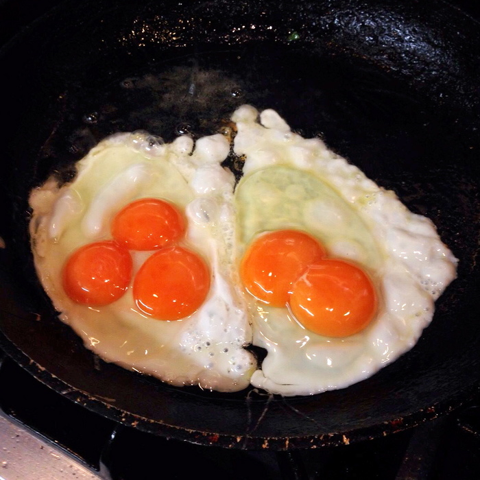 SWNS_MULTI_YOLK_04