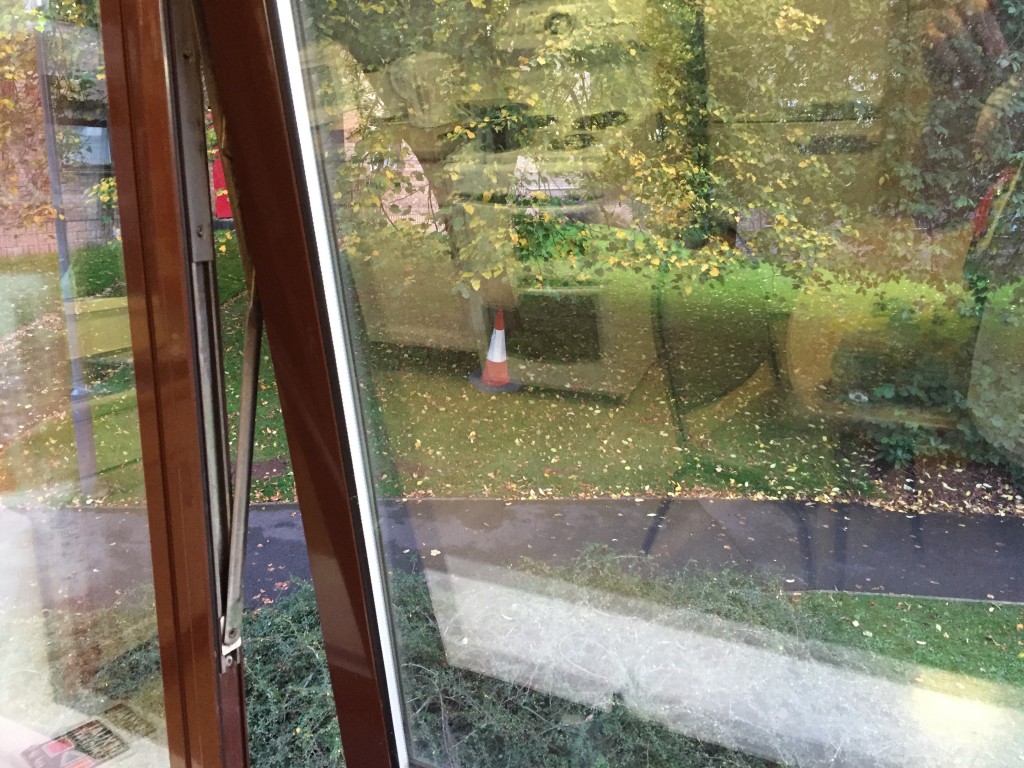 Good effort guys
