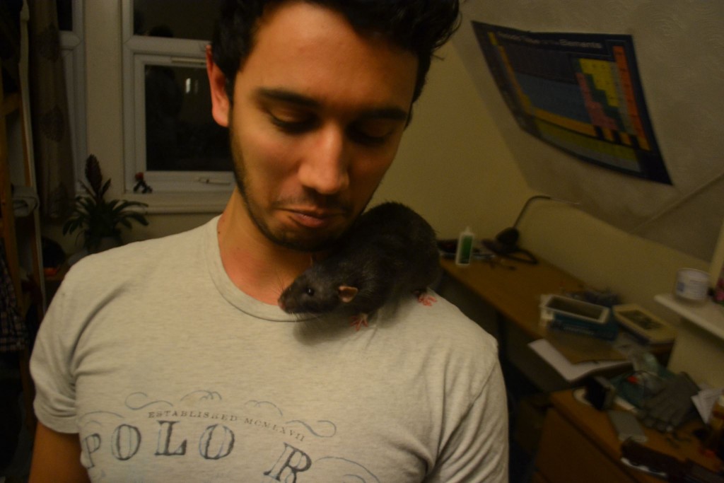 pets4