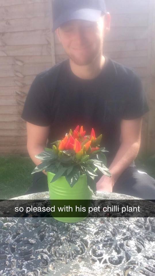pets5